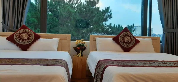 Ảnh Cẩm Tú Cầu 1 - 24