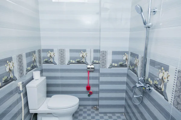 Ảnh VIva VT70 - 25