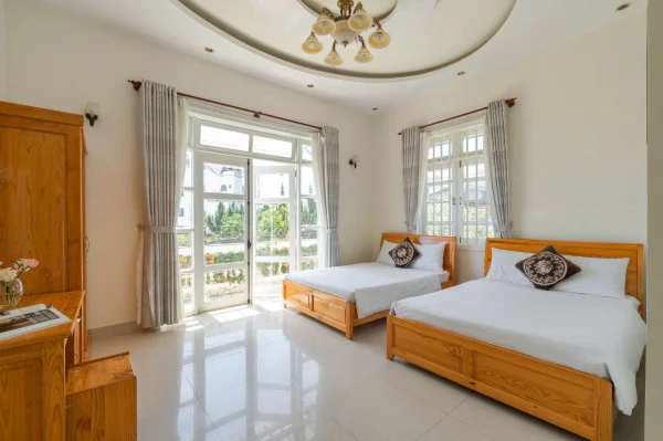 Ảnh Cẩm Tú Cầu 2 - 60