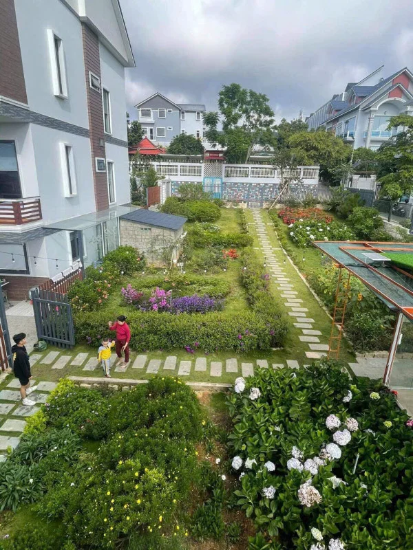 Ảnh Viva ĐL08 - 23