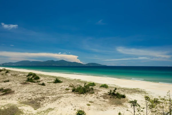 Ảnh chi tiết phòng khu-nghi-duong-sheraton-grand-da-nang-1-bedroom-suite-vivatrip-03.webp