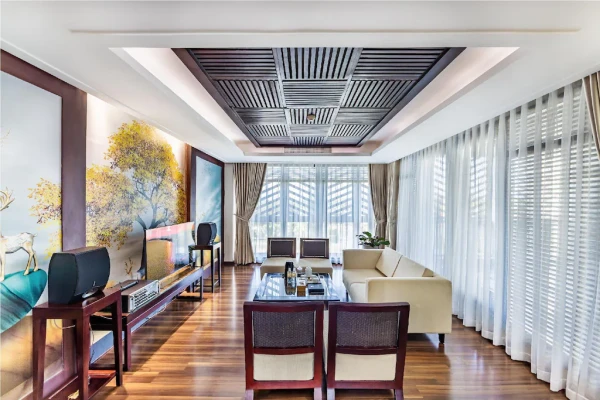 Ảnh chi tiết phòng Vice Presidential Suite (Vise Presidential Suite) 7