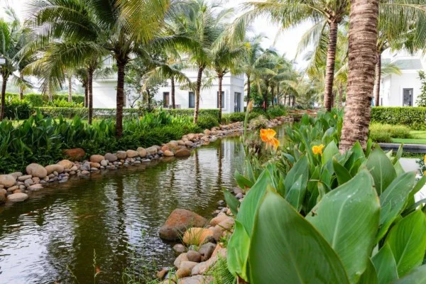 Ảnh Le Palmier Hồ Tràm Resort - 15