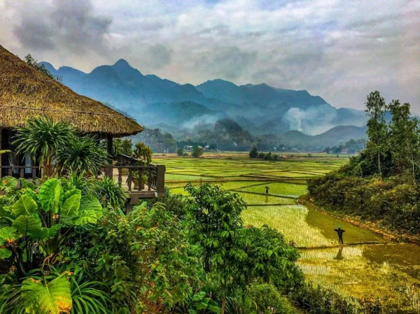 Ảnh chi tiết phòng mai-chau-ecolodge-phong-deluxe-2-giuong-don-nhin-ra-canh-dong-vivatrip-04.webp
