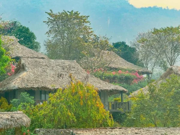 Ảnh Mai Châu Ecolodge - 8