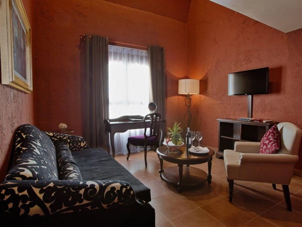 Ảnh chi tiết phòng Duplex Suite with 1 King bed 9