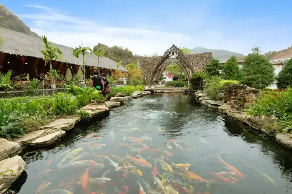 Ảnh Moc Chau Island - Mountain Park and Resort - 8