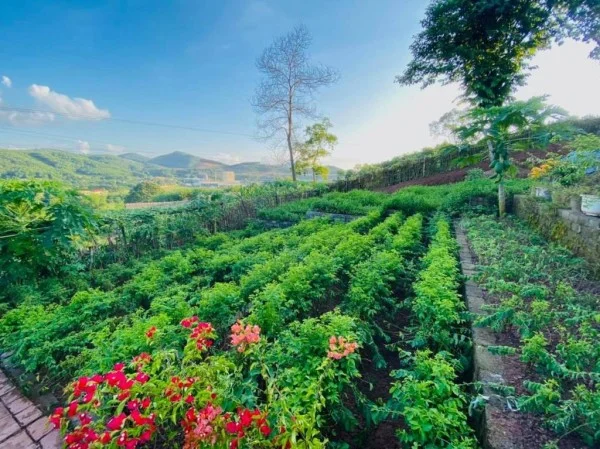 Ảnh Onsen Villas Resort Hoà Bình - 15