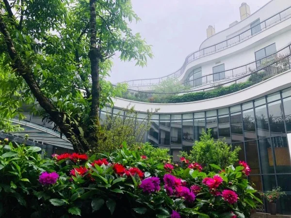 Ảnh Pao's Sapa Leisure Hotel - 11