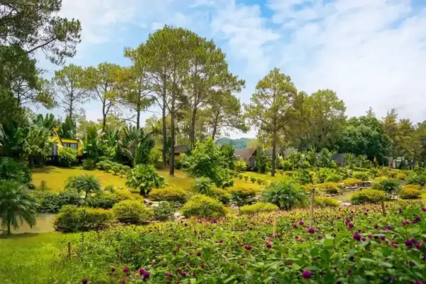 Ảnh Phoenix Mộc Châu Resort