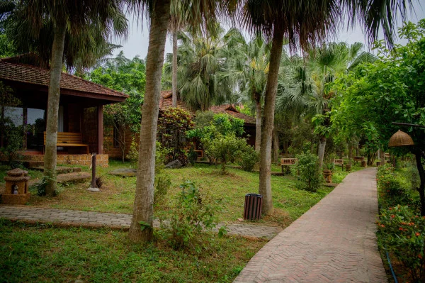 Ảnh chi tiết phòng room_1287894349_2059556387.webp