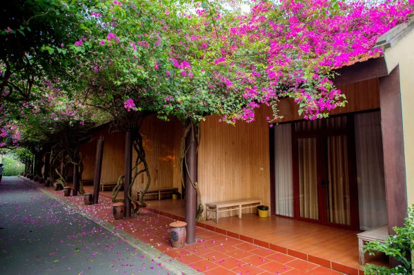 Ảnh chi tiết phòng KHU PHỐ NHỎ 7