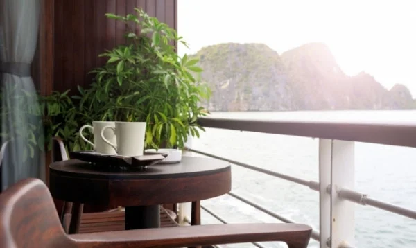 Ảnh chi tiết phòng room_1683160215_676217628.webp