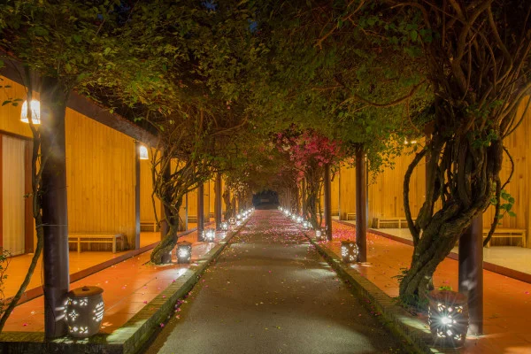 Ảnh chi tiết phòng room_196422557_936270436.webp