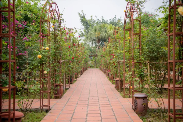 Ảnh chi tiết phòng room_402690694_294609821.webp