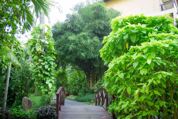 Ảnh chi tiết phòng room_405599114_2126097111.webp