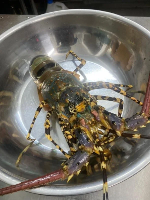 Ảnh Tam Coc La Montagne Resort & Spa Ninh Binh - 16