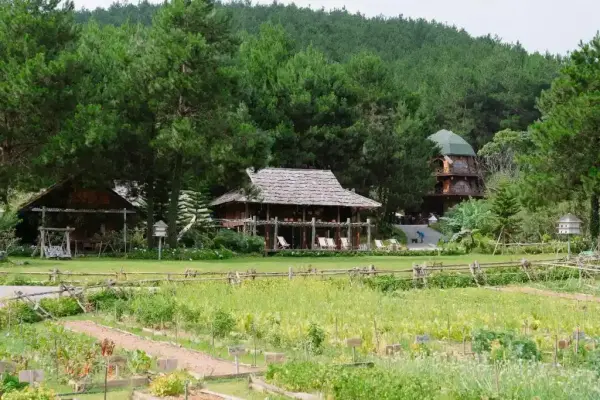 Ảnh The Nordic Village Mộc Châu - 18