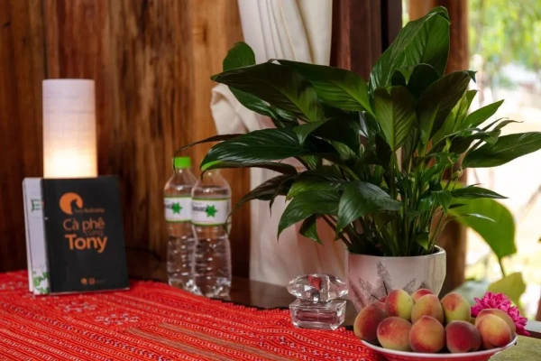 Ảnh chi tiết phòng the-nordic-village-moc-chau-phong-co-giuong-co-king-vivatrip-1.webp