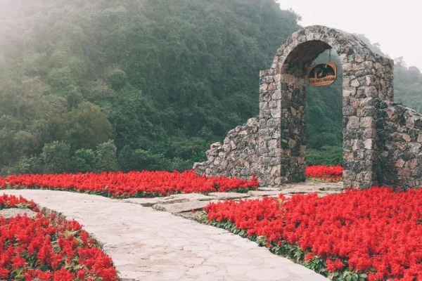 Ảnh Thung Nham Resort - 7