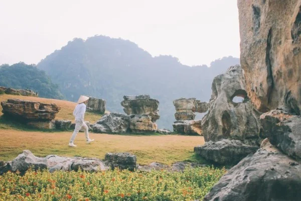 Ảnh Thung Nham Resort