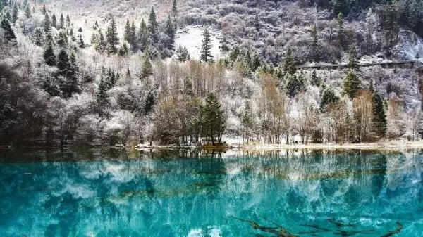 Ảnh Trung Quốc: Thành Đô – Nga Mi - Cửu Trại Câu - Đô Giang Yển - Công Viên Gấu Trúc – Lạc Sơn Đại Phật - Trải Nghiệm Suối Nước Nóng Thiên Nhiên - Cổ Trấn Hoàng Long Khê - 16