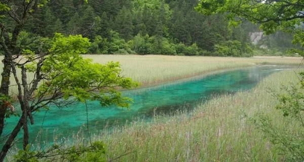 Ảnh Trung Quốc: Thành Đô – Nga Mi - Cửu Trại Câu - Đô Giang Yển - Công Viên Gấu Trúc – Lạc Sơn Đại Phật - Trải Nghiệm Suối Nước Nóng Thiên Nhiên - Cổ Trấn Hoàng Long Khê - 18