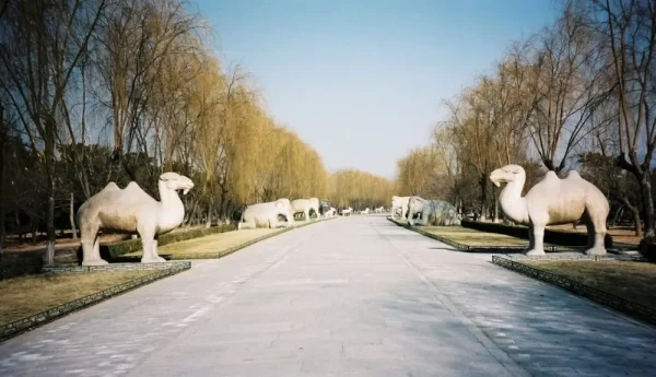 Ảnh Trung Quốc: Bắc Kinh - Di Hòa Viên - Vạn Lý Trường Thành - Chinh phục Cư Dung Quan - Thập Tam Lăng