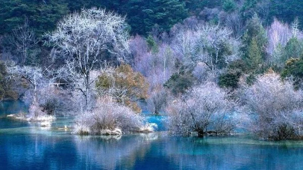 Ảnh Trung Quốc: Thành Đô – Nga Mi - Cửu Trại Câu - Đô Giang Yển - Công Viên Gấu Trúc – Lạc Sơn Đại Phật - Trải Nghiệm Suối Nước Nóng Thiên Nhiên - Cổ Trấn Hoàng Long Khê - 12