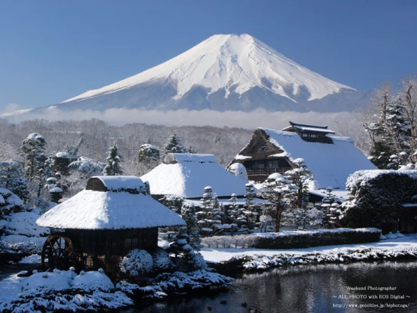 Ảnh Tour Nhật Bản : Narita - Kawaguchiko - Núi Phú Sĩ - Tokyo - Narita 5 ngày 4 đêm