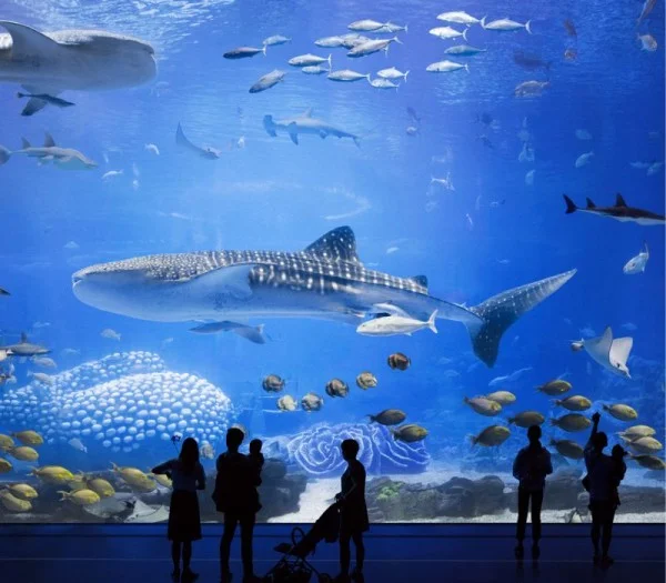 Ảnh Tour Hồng Kông: Núi Thái Bình - Chu Hải - Quảng Châu - Thẩm Quyến - Tặng trải nghiệm xe Ding Ding 6 ngày 5 đêm - 9