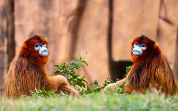 Ảnh Trung Quốc: Thượng Hải - Tô Châu - Hàng Châu - Ô Trấn - 17