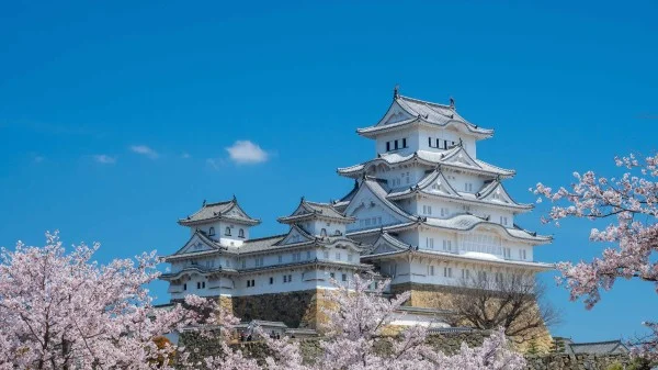 Ảnh Charter Hoa Anh đào: Takamatsu – Kurashiki – Himeji – Kobe – Kyoto – Osaka – Awaji – Takamatsu – Thưởng thức bò Kobe - 1 ngày tự do tại Kobe - 12