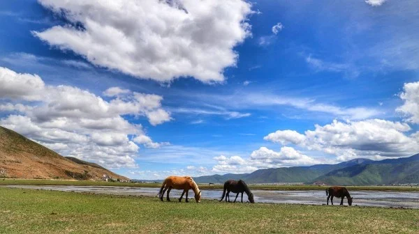 Ảnh Tour Trung Quốc: Lệ Giang - Shangrila - Núi tuyết Ngọc Long - Lam Nguyệt Đàm - Hẻm núi Hổ Khiêu Hiệp - Tặng vé chương trình Ấn Tượng Lệ Giang 5 ngày 4 đêm - 13