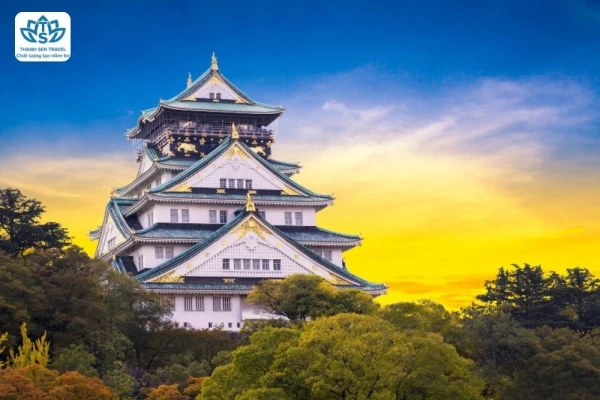 Ảnh Nhật Bản: Tokyo – Núi Phú Sĩ – Oshino Hakkai – Kyoto – Osaka (4 đêm khách sạn) | Trải nghiệm shinkansen & xem biểu diễn Geisha | Trải nghiệm trà đạo và mặc Yukata dạo phố