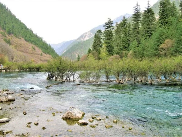 Ảnh Tour Trung Quốc: Thành Đô - Cửu Trại Câu thiên đường hạ giới - công viên Gấu Trúc - Lạc Sơn Đại Phật - 12