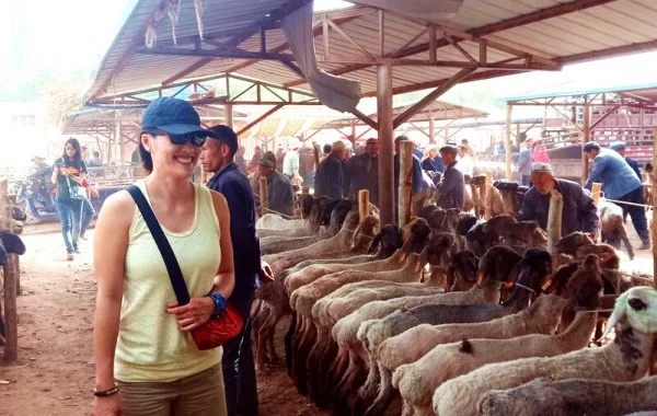 Ảnh Trung Quốc: Khám phá con đường tơ lụa cổ xưa Tân Cương - Kashgar - Grand Bazaar - Tashkurgan - Cao nguyên Pamir - Công viên Sông băng Oytak - Thành phố cổ Shache | Chương trình mới - 17