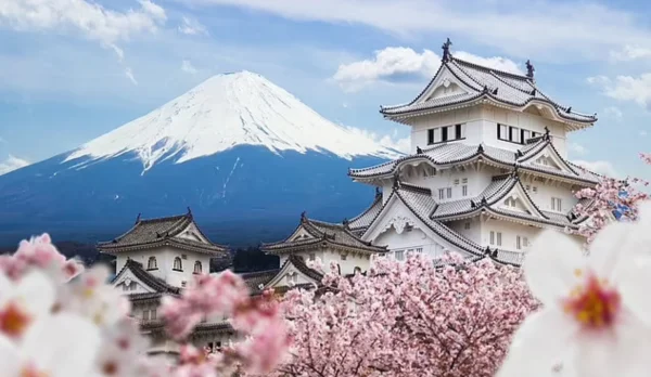 Ảnh Nhật Bản: Tokyo - Núi Phú Sĩ - Disneyland - Vịnh Odaiba - Kyoto - Kobe - Osaka (Khách sạn 4 sao) | Thưởng thức bò Kobe & trải nghiệm shinkansen - 14