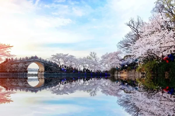 Ảnh Tour Trung Quốc: Thượng Hải - Hàng Châu - Vô Tích - Bắc Kinh - Chinh phục Vạn Lý Trường Thành - Thập Tam Lăng 7 ngày 6 đêm