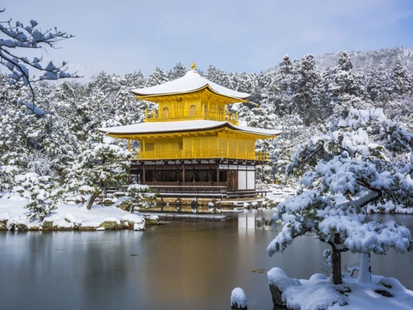 Ảnh Charter bay thẳng Nhật Bản: Nagoya - Làng cổ Shirakawa - Takayama - Kyoto - Rừng Tre Arashiyama - Kobe - Osaka - Nara (Tour Nhật Bản 5N4Đ)