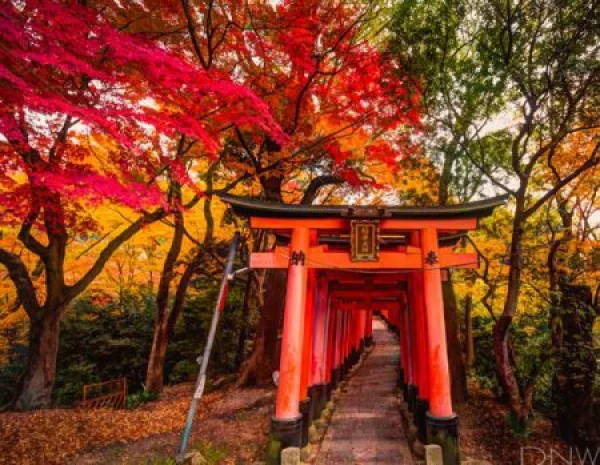 Ảnh Nhật Bản: Osaka – Kobe – Kyoto – Nagoya – Tokyo – Núi Phú Sĩ | Trải nghiệm shinkansen & xem biểu diễn Geisha | Trải nghiệm trà đạo và mặc Yukata dạo phố