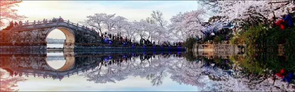 Ảnh Trung Quốc: Thượng Hải - Hàng Châu - Vô Tích - Tô Châu - 10