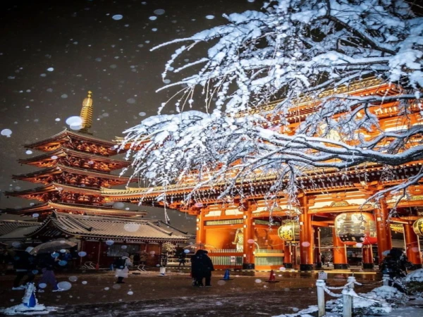 Tour Nhật Bản: Osaka - Kyoto - Núi Phú Sĩ - Tokyo 5 ngày 4 đêm