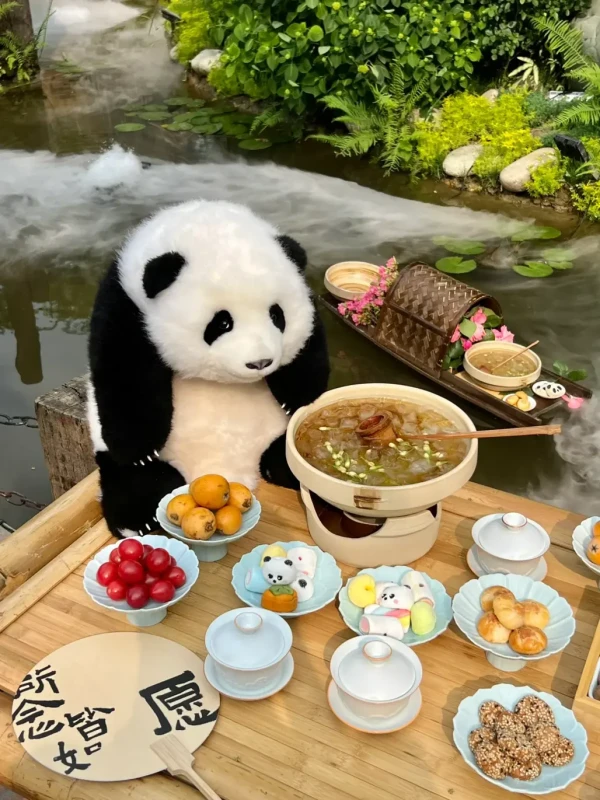 Ảnh Tour Trung Quốc: Thành Đô - Cửu Trại Câu -  Công Viên Gấu Trúc 5 ngày 4 đêm - 11