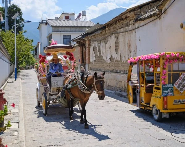 Ảnh Tour Trung Quốc: Đại Lý - Lệ Giang - Thị trấn Santorini – Tặng show Ấn tượng Lệ Giang - No Shopping 5 ngày 4 đêm - 15