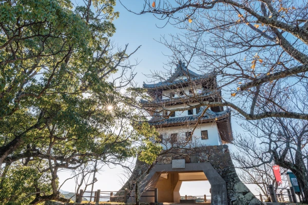 Ảnh Charter Hoa Anh đào: Takamatsu – Kurashiki – Himeji – Kobe – Kyoto – Osaka – Awaji – Takamatsu – Thưởng thức bò Kobe - 1 ngày tự do tại Kobe