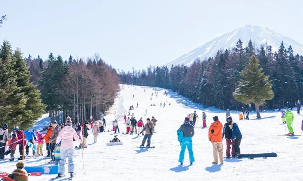 Ảnh Nhật Bản: Tokyo - Disneyland - Núi Phú Sĩ - Công viên trượt tuyết Fujiten - Công viên Nishihirabatake - Tokyo (3 đêm khách sạn, Hái trái cây, Ngắm hoa đào Kawazu) | Thưởng thức buffet chân cua tuyết & Tặng kem rắc vàng