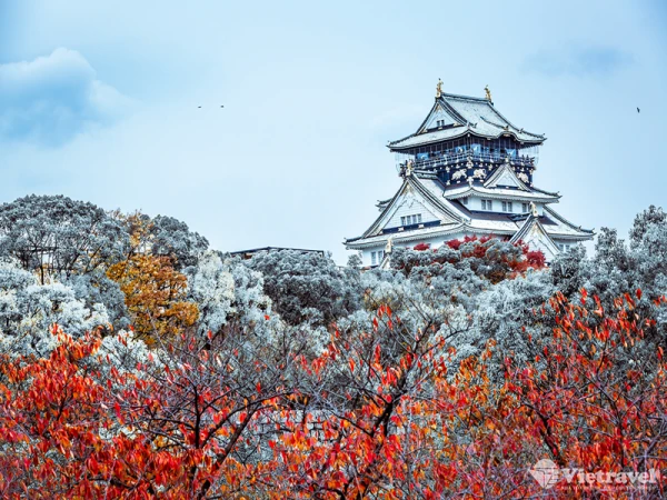 Ảnh Charter bay thẳng Nhật Bản: Nagoya - Làng cổ Shirakawa - Takayama - Kyoto - Rừng Tre Arashiyama - Kobe - Osaka - Nara (Tour Nhật Bản 5N4Đ)