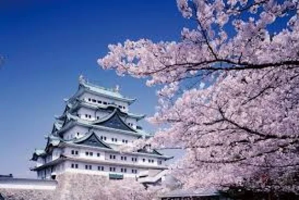 Ảnh Nhật Bản: Tokyo - Núi Phú Sĩ - Oshino Hakkai - Vịnh Odaiba - Công viên Hamamatsu - Nagoya - Kyoto - Osaka | Trải nghiệm shinkanen & thưởng thức bò Kobe | Ngắm hoa Anh Đào & hoa Tulip