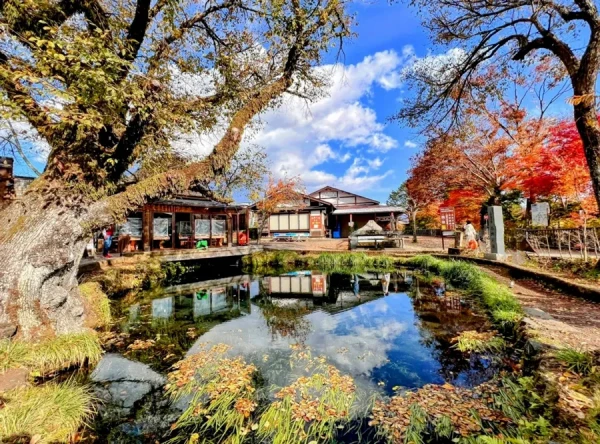 Ảnh Nhật Bản: Osaka - Kyoto – Làng cổ Oshino Hakkai - Công viên trượt tuyết Fujiten- Kansai (Thưởng thức bò Kobe, trải nghiệm tàu cao tốc shinkansen & tắm onsen) - (Đã giảm 3.000.000vnđ) - Đón Năm Mới